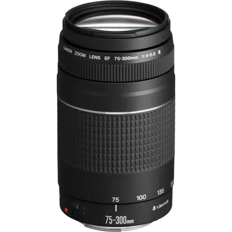 Canon EF 75 - 300 mm f/4.0 - 5.6 III USM